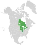 Map of North America with green shading. Data source Brouillet et.al., Flora of North America