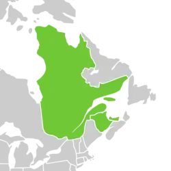Symphyotrichum laurentianum distribution map