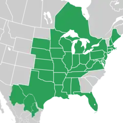 Symphyotrichum praealtum native distribution map: Canada — Ontario; Mexico — Chihuahua, Coahuila, and Nuevo León; US — Alabama, Arkansas, Connecticut, Delaware, District of Columbia, Florida, Illinois, Indiana, Iowa, Kansas, Kentucky, Louisiana, Maine, Maryland, Massachusetts, Michigan, Minnesota, Mississippi, Missouri, Nebraska, New Hampshire, New Jersey, New York, Ohio, Oklahoma, Pennsylvania, Rhode Island, South Dakota, Tennessee, Texas, Virginia, West Virginia, and Wisconsin.