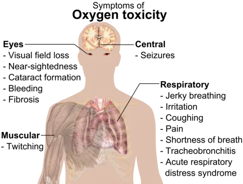 A diagram showing a male torso and listing symptoms of oxygen toxicity: Eyes – visual field loss, nearsightedness, cataract formation, bleeding, fibrosis; Head – seizures; Muscles – twitching; Respiratory system – jerky breathing, irritation, coughing, pain, shortness of breath, tracheobronchitis, acute respiratory distress syndrome.