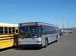 Light-gray bus with stripes, seen from the front