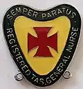 State Registration Badge formerly awarded by the Tasmanian Nursing Council