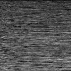 History of speckle pattern of a biscuit with high molecular activity