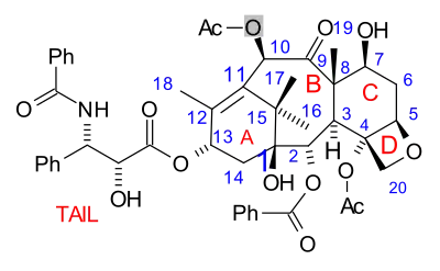 Paclitaxel, a polycyclic natural product with a tetracyclic core: with a heterocyclic, 4-membered D ring, fused to further 6- and 8-membered carbocyclic (A/C and B) rings (non-aromatic), and with three further pendant phenyl-rings on its "tail", and attached to C-2 (abbrev. Ph, C6H5; aromatics).
