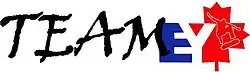 Team EY Logo