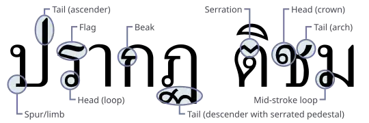 Thai typeface anatomy