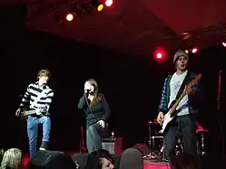 The Maddigans performing live in 2008