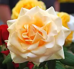 'Marilyn Monroe', (2002)