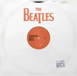 A mock-up of a vinyl record with a plain white cover that has the album title and artist on it