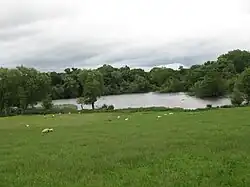 The Lower Lake at Lymore Park Montgomery