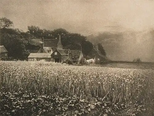 Image 76The Onion Field, at and by George Davison (restored by Adam Cuerden) (from Wikipedia:Featured pictures/Artwork/Others)