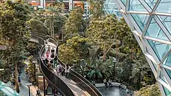 Walking path through ‘The Orchard,’ a lush, tropical indoor garden at Hamad International Airport, with travelers and a modern glass ceiling in the background.