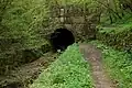 Sapperton banks and canal tunnel entrance