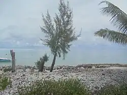 The Thirteen Islands of St Brandon - Images of Île Raphael, Cargados Carajos in Mauritius