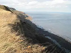 Looking north along Beast Cliff showing the intermediate plateau aligned with the horizon (2012)