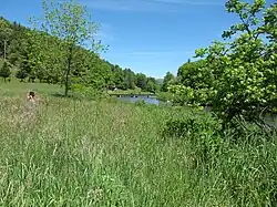 The south fork of the New River in Todd, NC