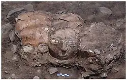 Plastered skulls in situ at Yiftahel, Pre-Pottery Neolithic B