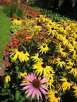 Thousands of flowers in Mozirski Gaj Flower Park