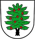 Coat of arms of Tis