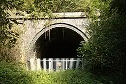 Tunnel mouth and retaining walls in blue engineering brick, surrounded by trees and vegetation. The dark entrance is blocked by a fence of vertical metal palings with pointed tops.
