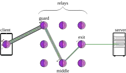 A client, represented as a phone, sending traffic to an onion labelled "Guard" with four nested lines, then going to a "Middle" onion with three nested lines, then going to an "Exit" onion with two nested lines, and finally going to the Server with one line.