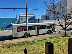 White bus next to a tree and a telephone pole