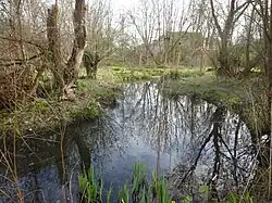 Waterway through the Trap Grounds.