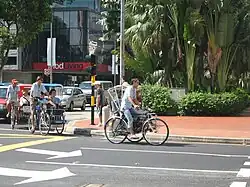 Trishaws are used to ferry tourists around the city for sightseeing in Singapore