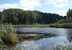 Tsirkjärv, a lake in Pausakunnu