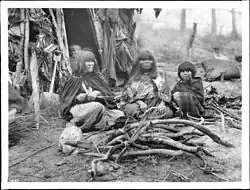 Two Havasupai women basket makers, ca. 1900. The women and a child sit on the ground in front of a house made of branches. They wear long dresses with shawls over their shoulders. They sit among firewood. A child peers out of the entry of the dwelling. A "kathak", a large conical basket, lies on the ground at right.