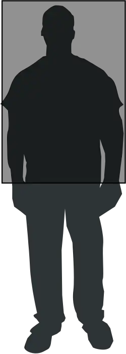Silhouette of a man standing with a gray translucent box superimposed over his torso and face