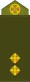 Лейтенант Leitenant (Ukrainian Ground Forces)[81]