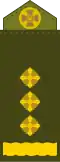 Полковник Polkovnyk[23] (Ukrainian Ground Forces)