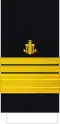 Віце-адмірал Vitse-admiral (Ukrainian Navy)[61]