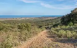 View from the Northwest