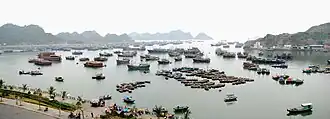 Panorama of Cát Bà harbour.