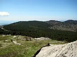 View from the southern sub-peak of Black Balsam Knob