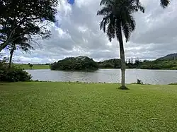 View of a grassy area leading to a palm tree and small body of water at the Loko Waimaluhia Reservoir Fishing Area in the Hoʻomaluhia Botanical Garden in Kāneʻohe, Oʻahu, Hawaiʻi.