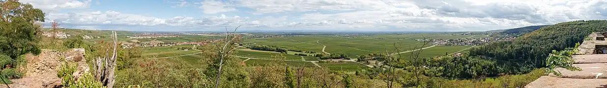 View of the Upper Rhine Plain from Battenberg Castle