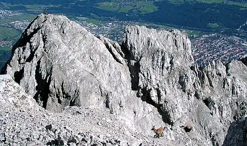 The Vordere Brandjochspitze seen from the Hintere Brandjochspitze. Behind: Innsbruck. Foreground: two young ibexes.