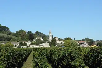 A general view of Saint-Michel-de-Fronsac