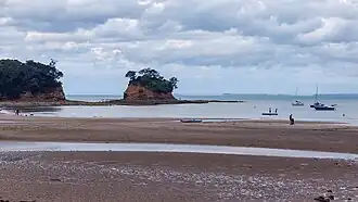 Waiake Beach and The Tor