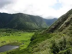 View of the back of Waipiʻo Valley.