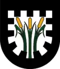 Coat of arms of Pinswang