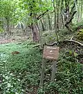 Welcome sign in Little Doward woods