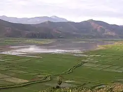 Wet season view of flooded verdant ricefields and Lake Seloi
