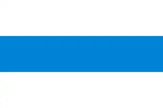 White-blue-white flag used by anti-war protesters and opponents of Vladimir Putin (2022)