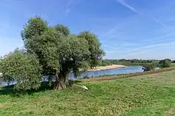 Vistula in Dąbrówka Morska