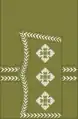 1902 to 1920 captain's rank insignia (general pattern)