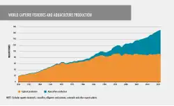 World capture fisheries and aquaculture production 1950 – 2015